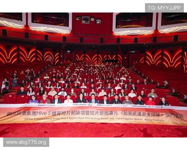 全面介绍银河娱乐集团的公司背景与发展历程